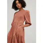 Load image into Gallery viewer, Autumn Rose Smocked Gingham Dress